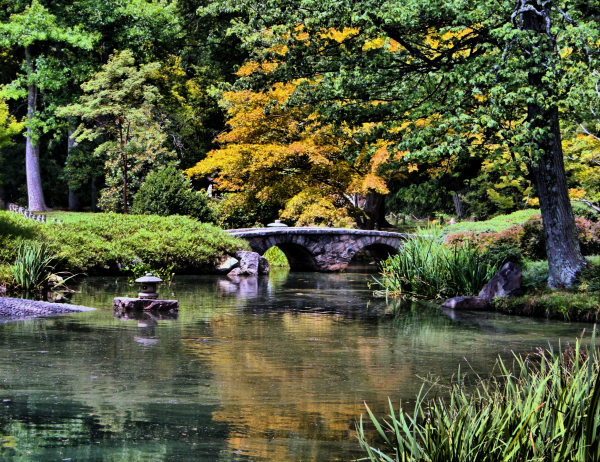 Japanese garden